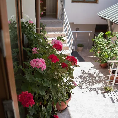 ゲストハウス Byki スヴェティ・ヴラス