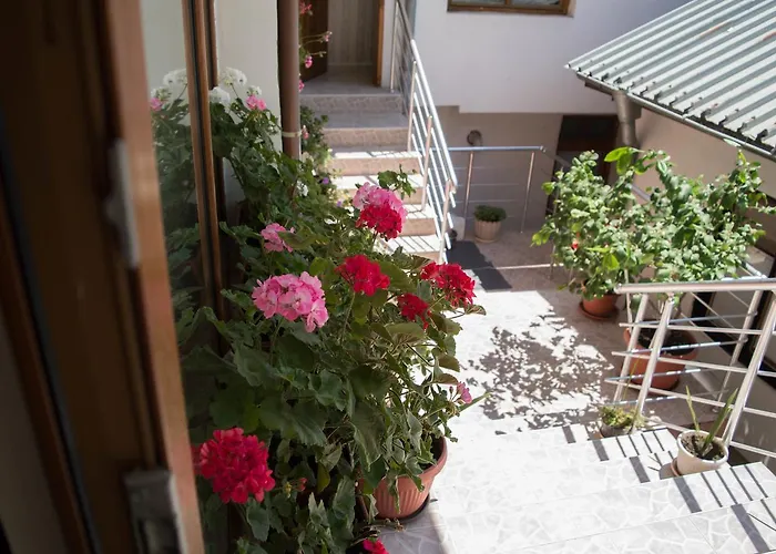 게스트하우스 Byki 스베티 블라스